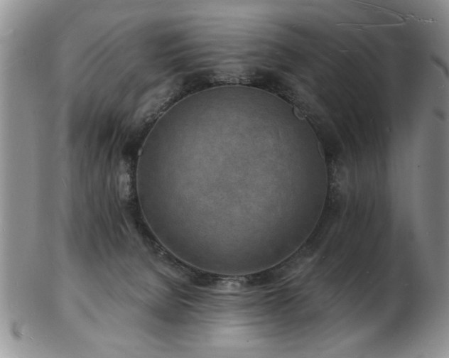 X0000103240080200808281450