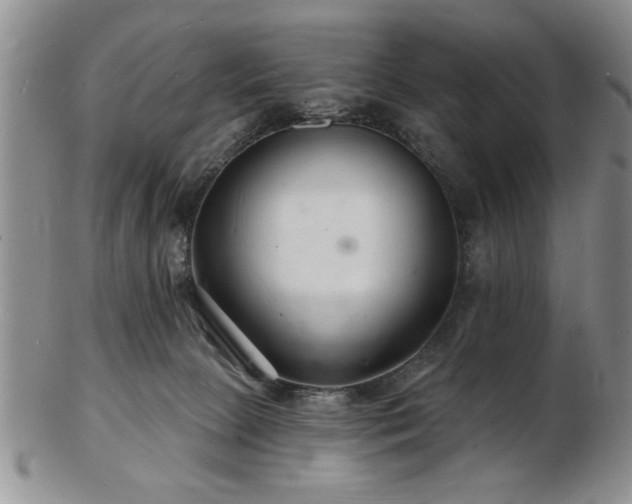 X0000103240081200808281450