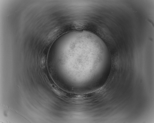 X0000103240082200808281450
