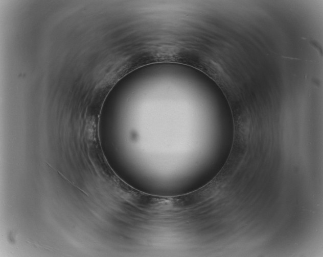 X0000103240083200808281450