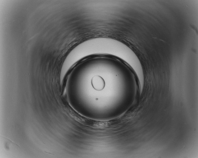 X0000103240084200808281450
