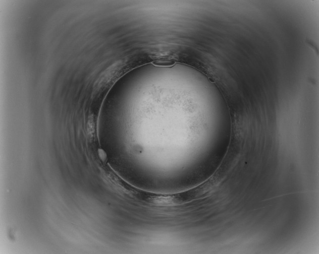 X0000103240085200808281450