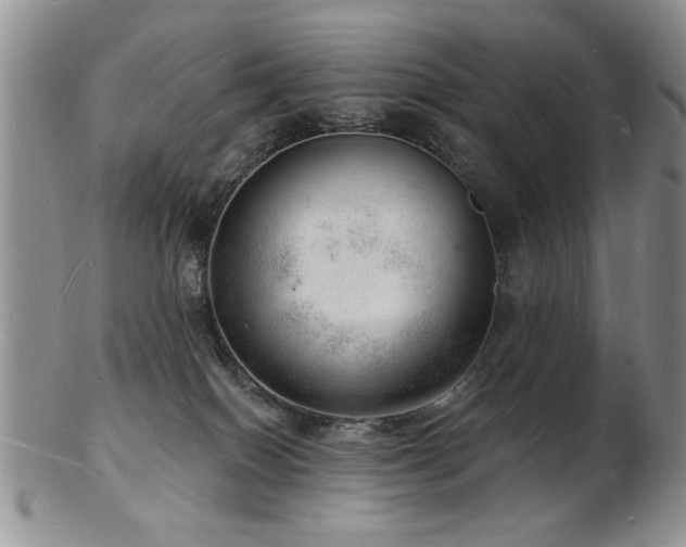 X0000103240086200808281450