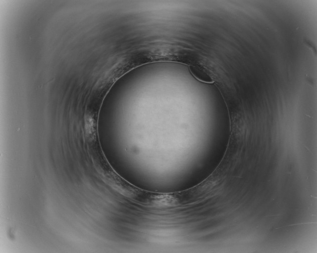 X0000103240087200808281450