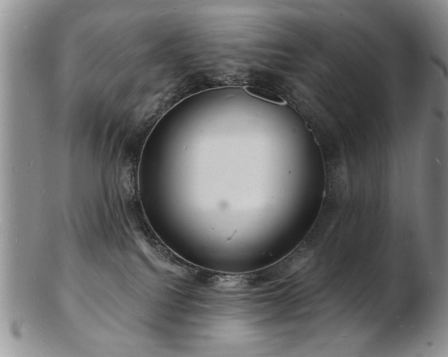 X0000103240088200808281450