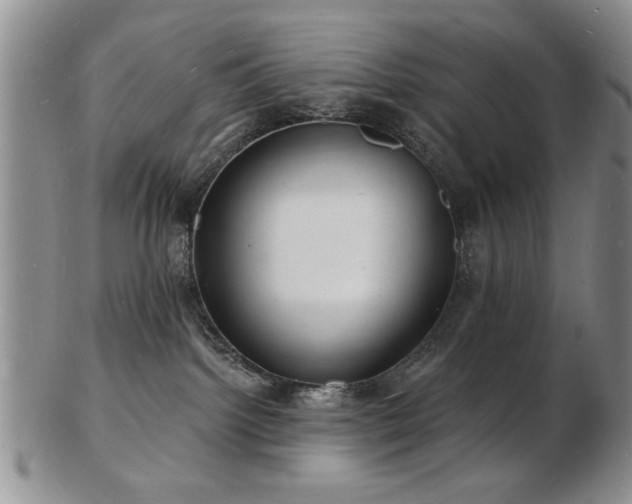 X0000103240092200808281451