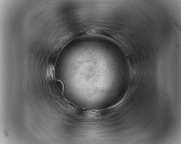X0000103240094200808281451