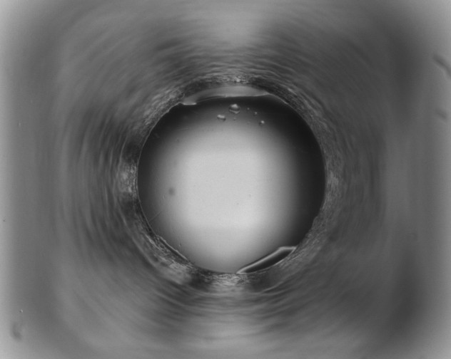 X0000103240096200808281451