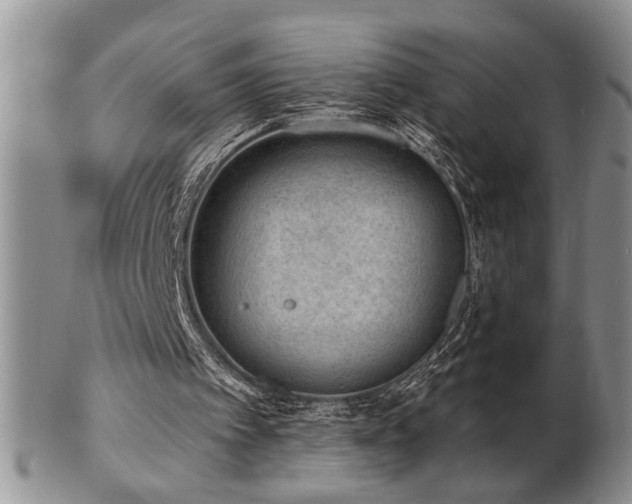 X0000103240097200808281450