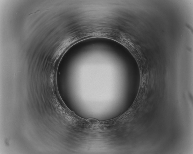 X0000103240098200808281450