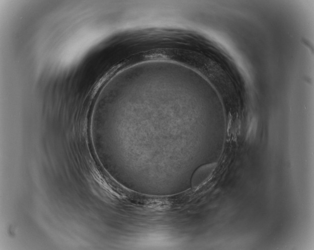 X0000103240099200808281450