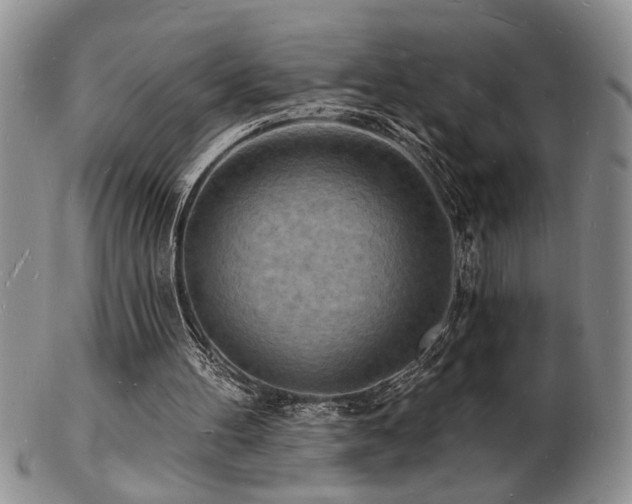 X0000103240100200808281450