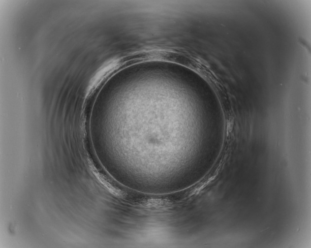 X0000103240101200808281450