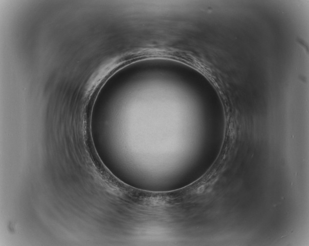 X0000103240103200808281450