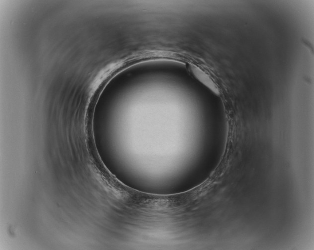 X0000103240104200808281450