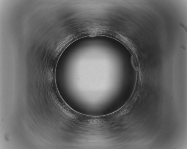 X0000103240105200808281450