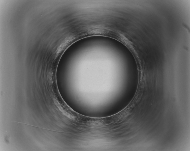 X0000103240106200808281450