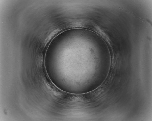 X0000103240107200808281450