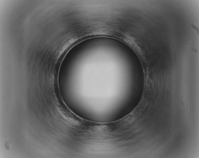 X0000103240108200808281450
