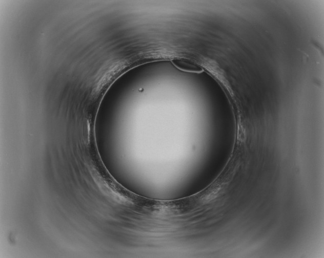 X0000103240109200808281450