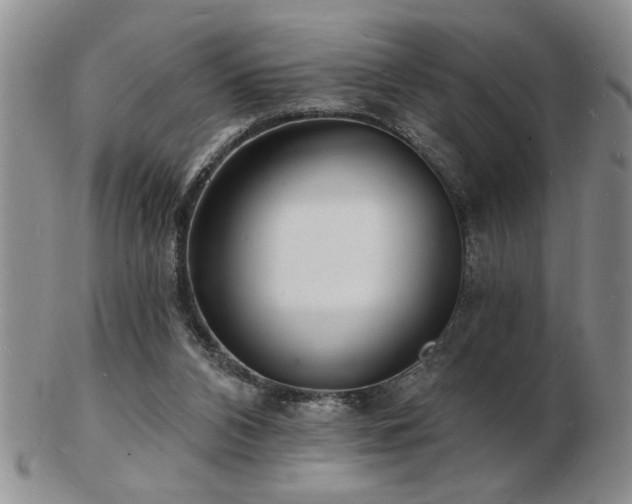 X0000103240112200808281450