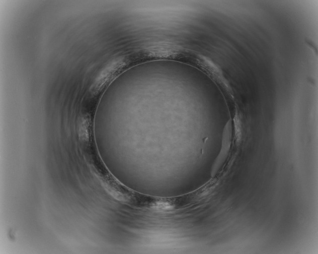 X0000103240114200808281450