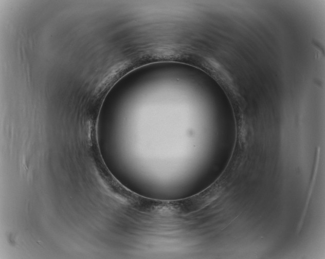 X0000103240115200808281450