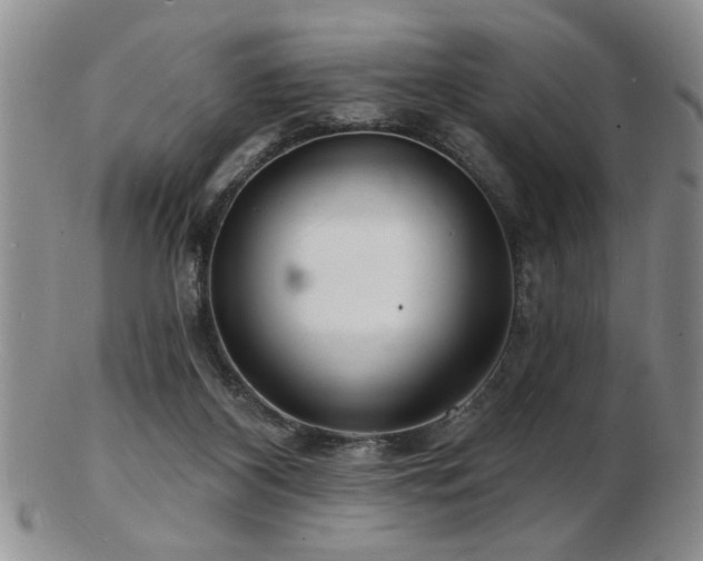 X0000103240116200808281450
