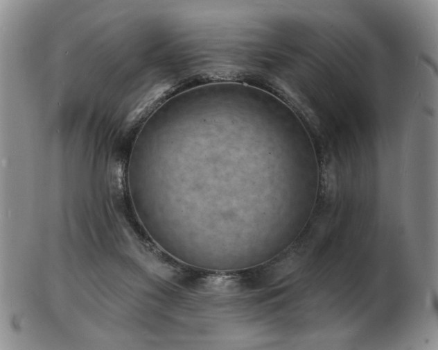 X0000103240117200808281450