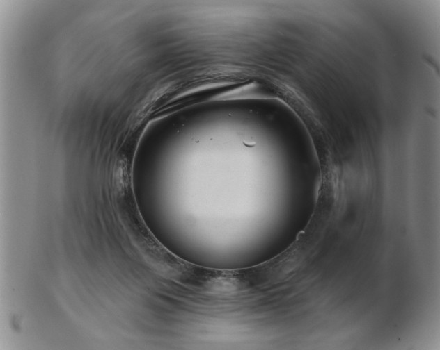 X0000103240119200808281450