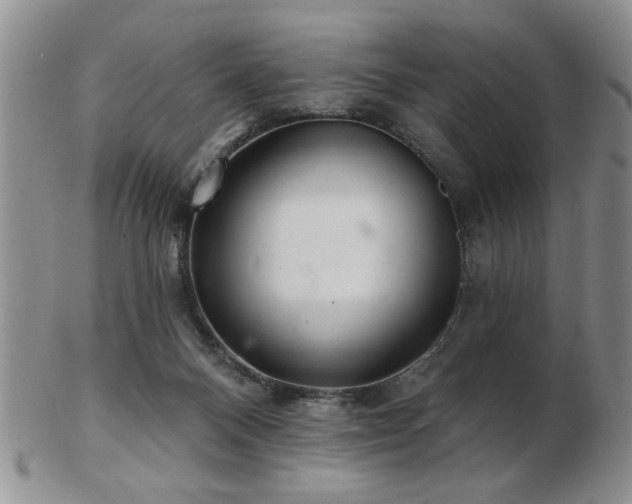 X0000103240120200808281450