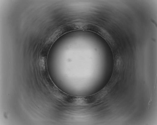 X0000103240121200808281450