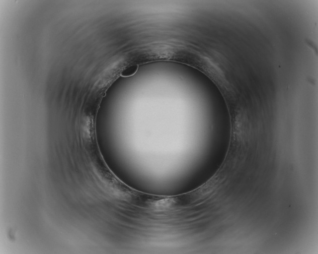 X0000103240122200808281450