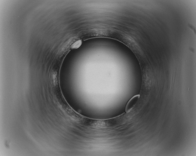 X0000103240123200808281450