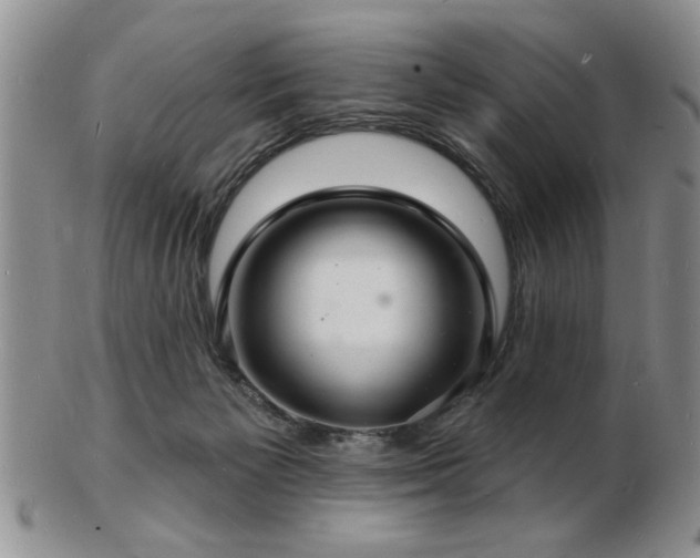 X0000103240125200808281450