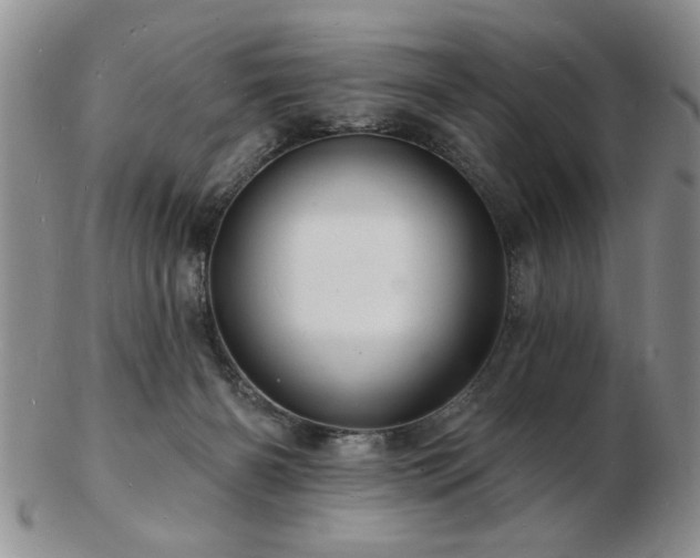 X0000103240126200808281449