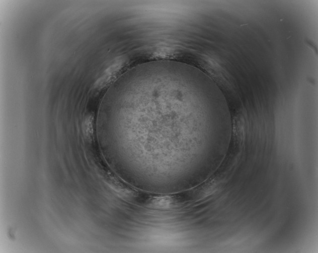 X0000103240127200808281449