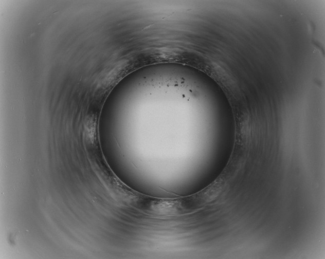 X0000103240129200808281449