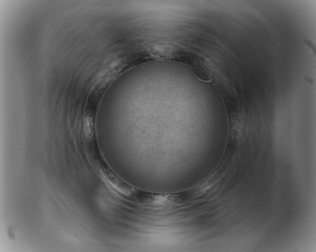 X0000103240130200808281449