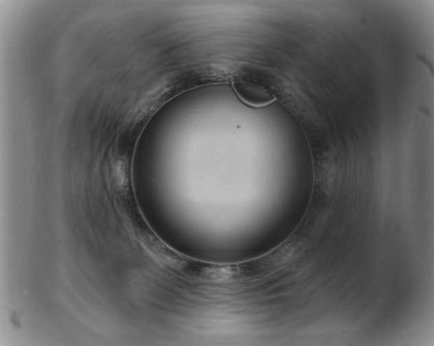 X0000103240131200808281449
