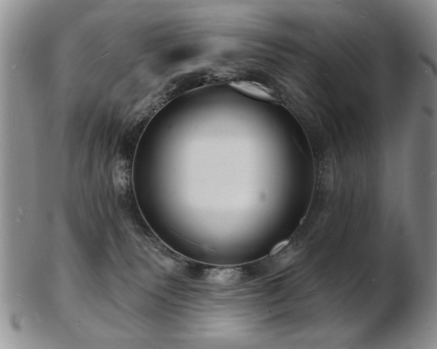 X0000103240135200808281449