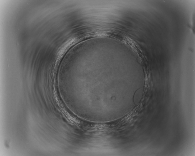 X0000103240145200808281448