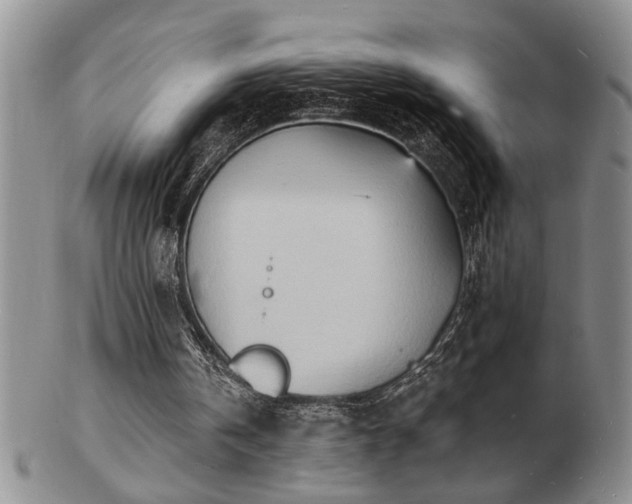 X0000103240146200808281448