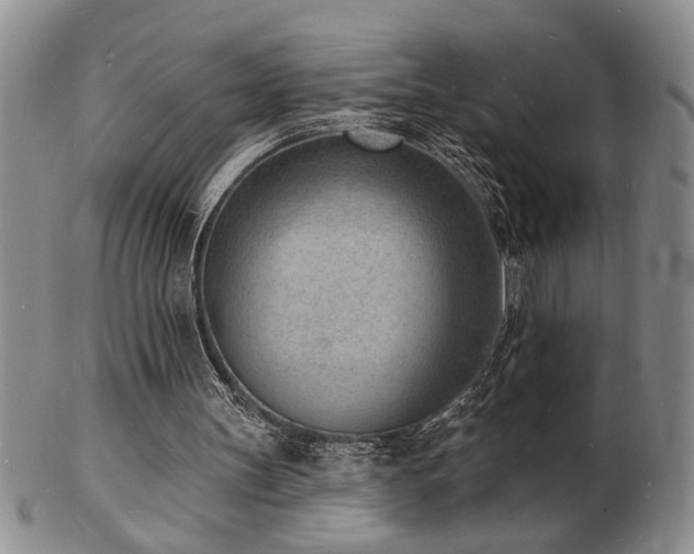 X0000103240147200808281448