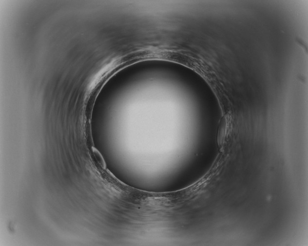 X0000103240150200808281448