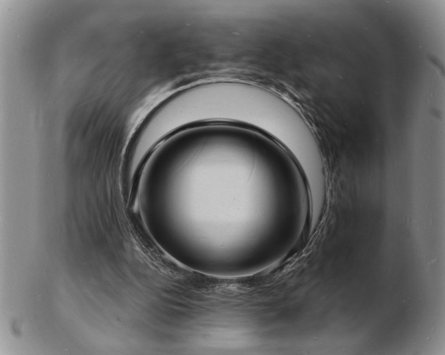 X0000103240152200808281449