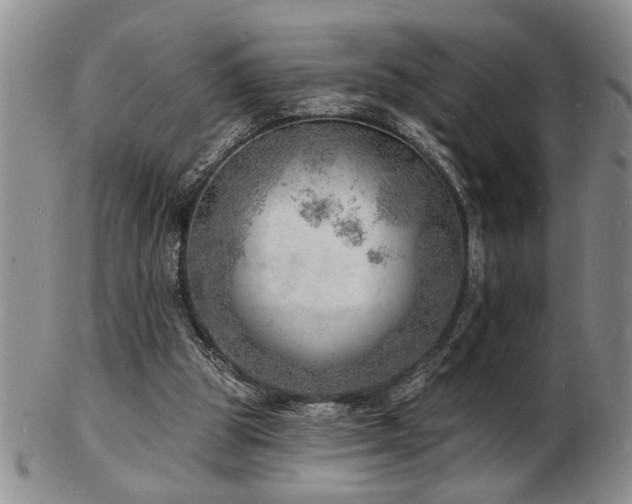 X0000103240153200808281449