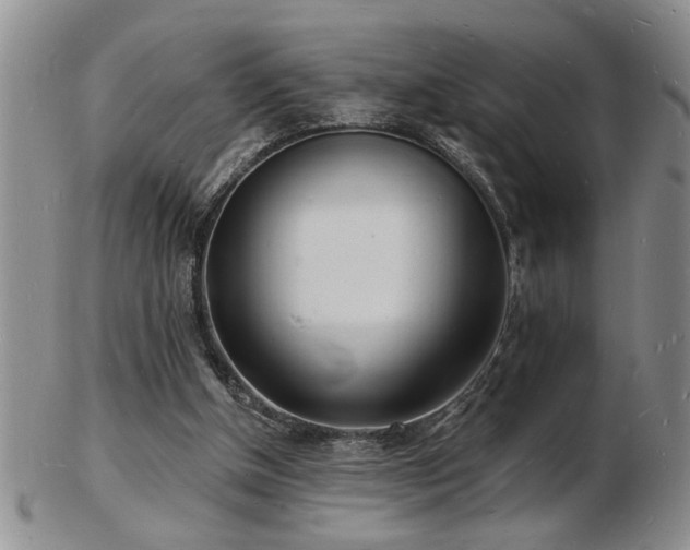X0000103240154200808281449