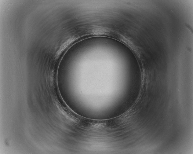 X0000103240155200808281449
