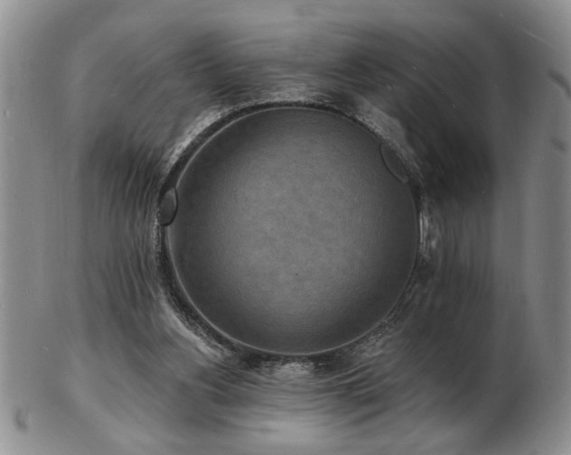 X0000103240156200808281449
